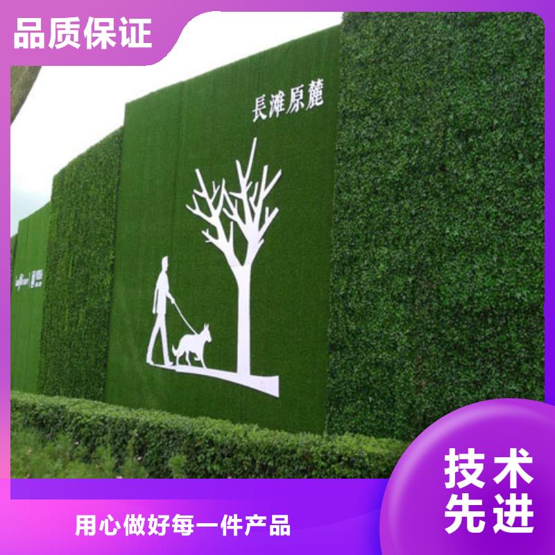 草坪围挡-人工草坪围挡品质保证实力见证实拍品质保障