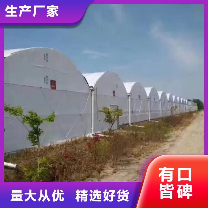 【大棚管】连体大棚好品质经得住考验专业生产N年