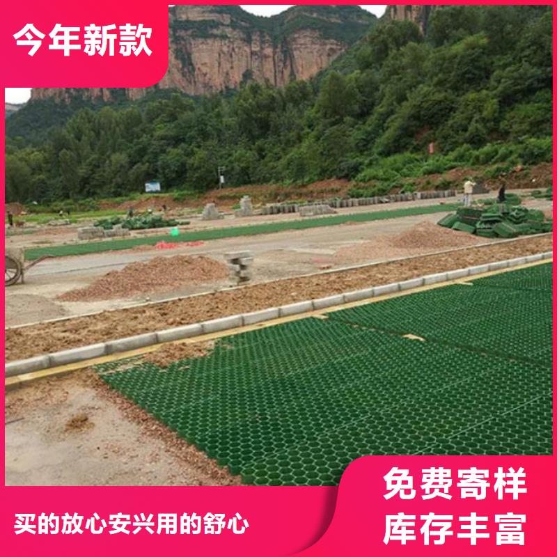 【植草格,涤纶土工格栅量大从优】优选原材