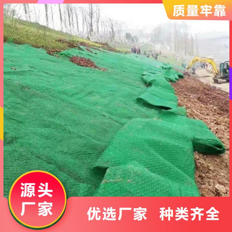 三维植被网_护坡土工网出厂严格质检质量好