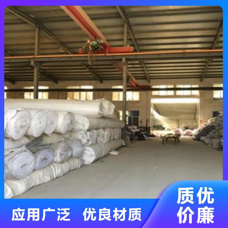 膨润土防水毯_凸结点钢塑土工格栅品牌大厂家自有厂家