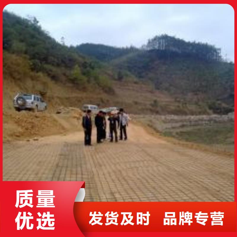 钢塑土工格栅-钢塑土工格栅厂家甄选好厂家认准大品牌厂家