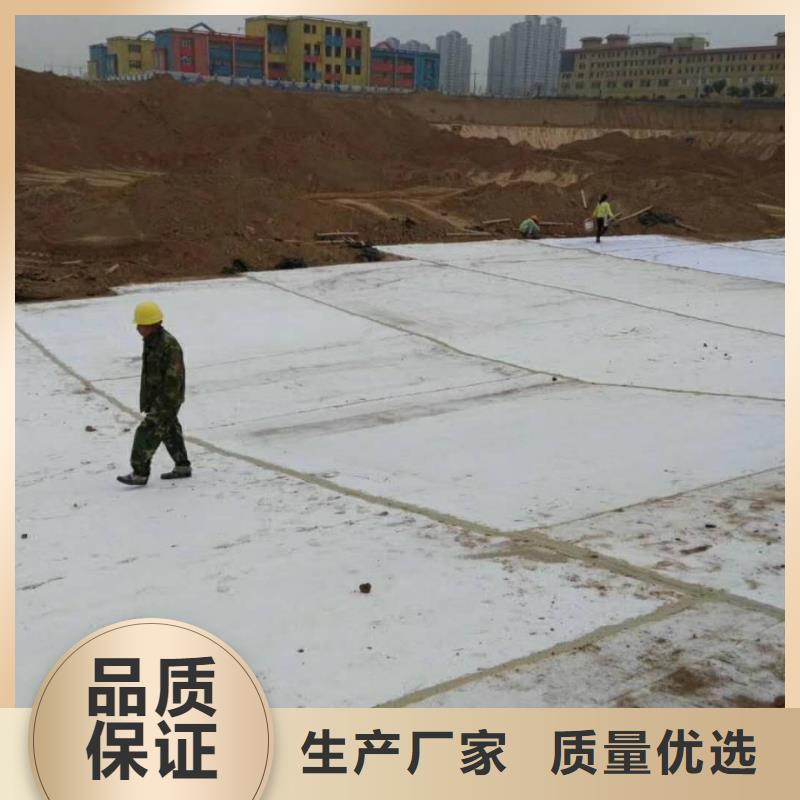 【防水毯凸结点钢塑土工格栅服务始终如一】品质之选