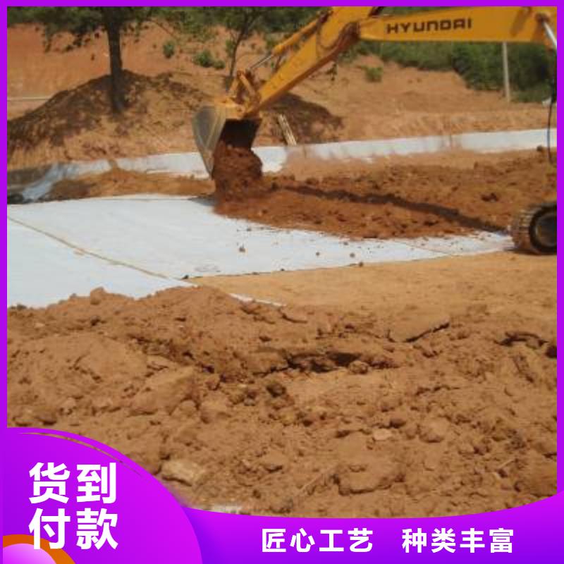 防水毯双向塑料土工格栅专注细节更放心厂家直销