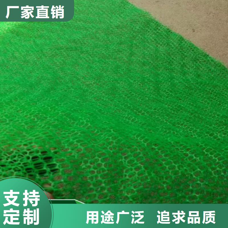 三维植被网护坡土工网质量上乘畅销当地