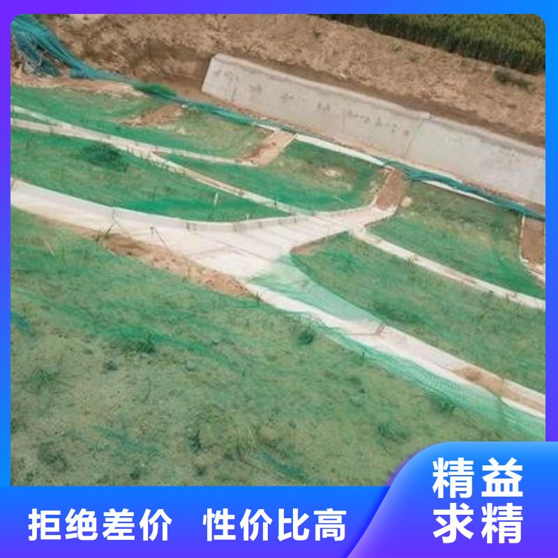 三维植被网_【钢塑土工格栅厂家】现货实拍厂家案例