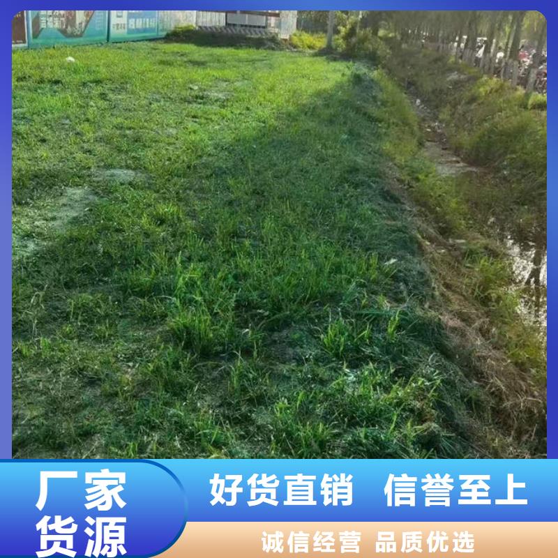 煤炭矿山抑尘剂厂家直销经久耐用