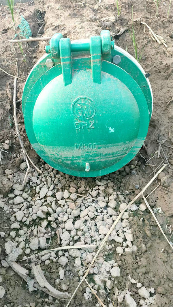 拍门球墨铸铁拍门标准工艺
