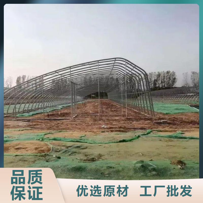 大棚管2-
蔬菜温室大棚管价格实惠工厂直供当地货源