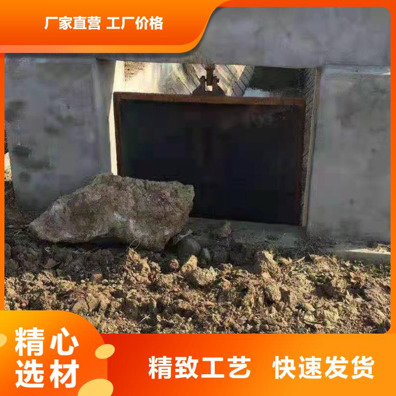 镶铜铸铁闸门工厂直销当地供应商