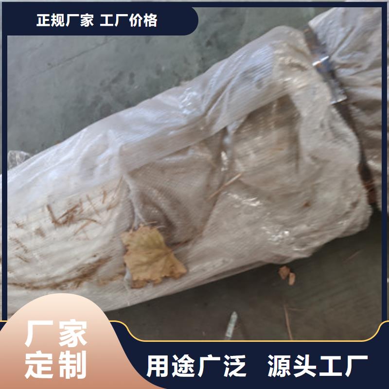 桥梁不锈钢隔离防撞护栏销售订做本地生产厂家