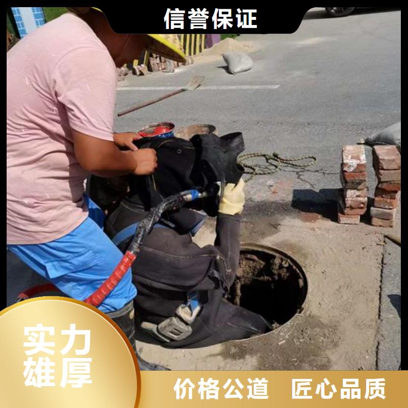 水下作业水下探测仪价格公道质优价廉