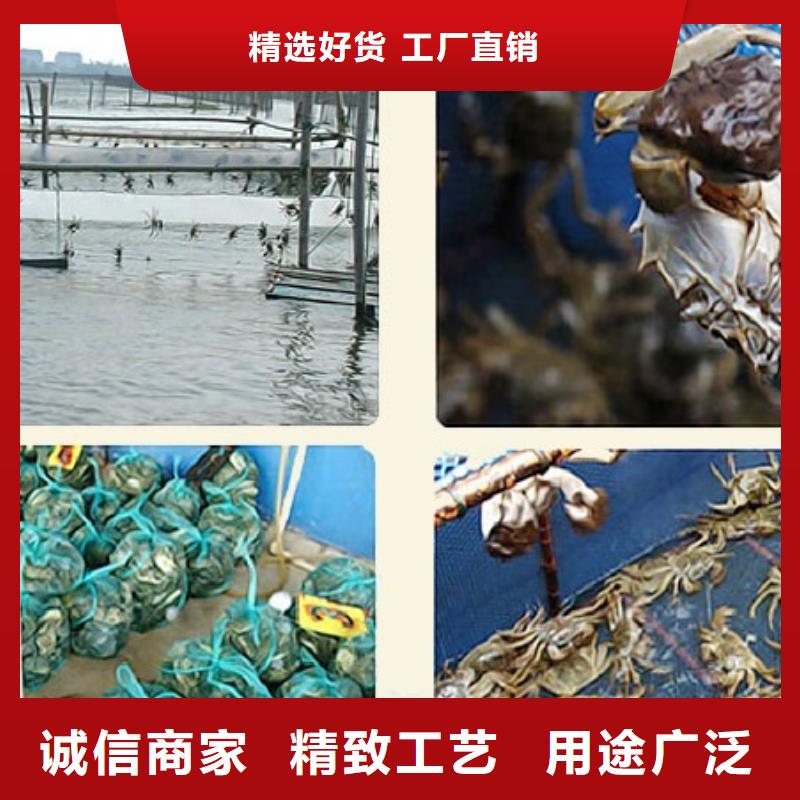 阳澄湖大闸蟹哪里正宗三沙市当地厂家