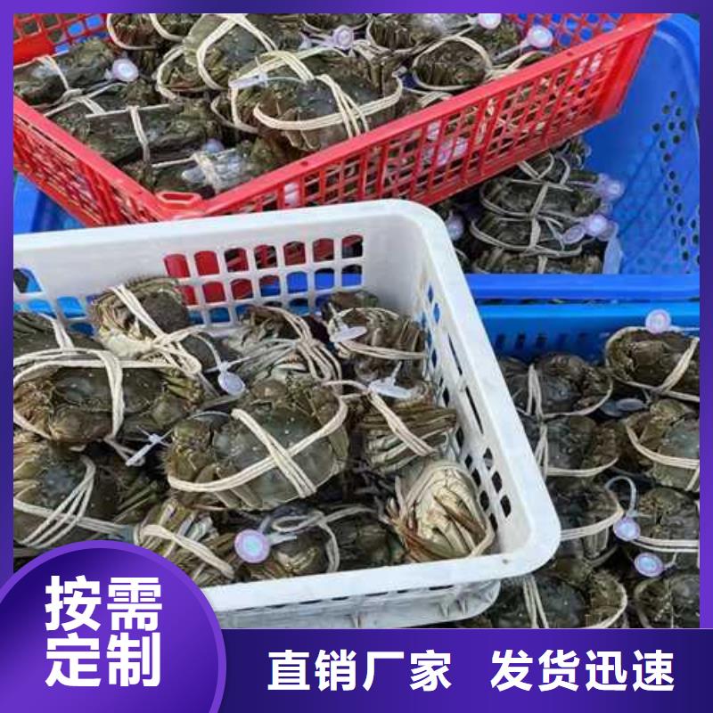 阳澄湖吃蟹哪家好苏州莲花岛顾记蟹庄高品质现货销售