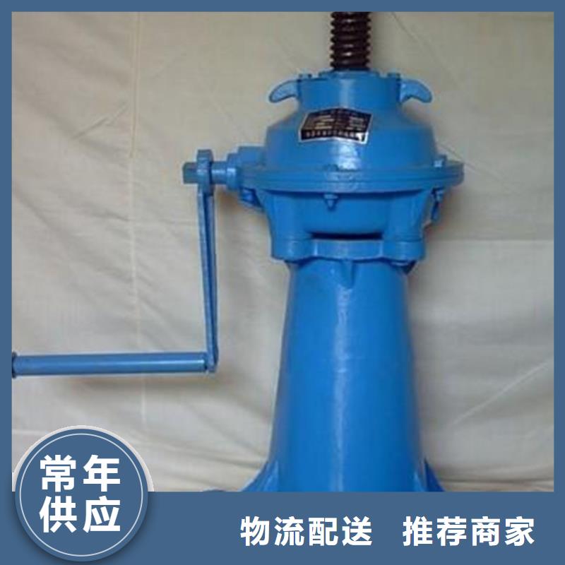 卷扬启闭机5T直联式启闭机提供一站式解决方案同城货源
