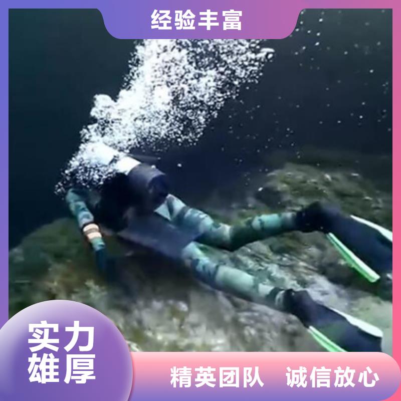 水下潜水录像拍照放心公司