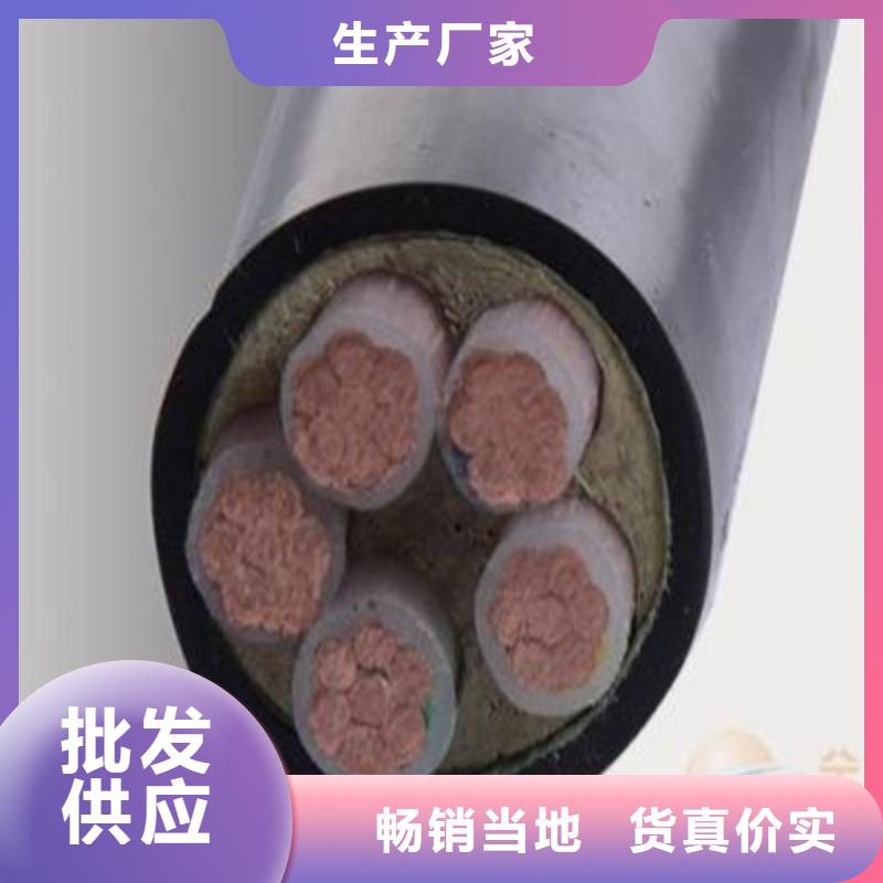 特种电缆-通信电缆厂家大量现货品质卓越