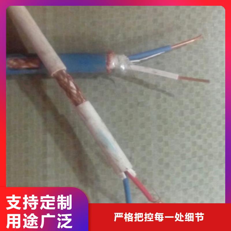 【特种电缆计算机电缆每个细节都严格把关】同城厂家