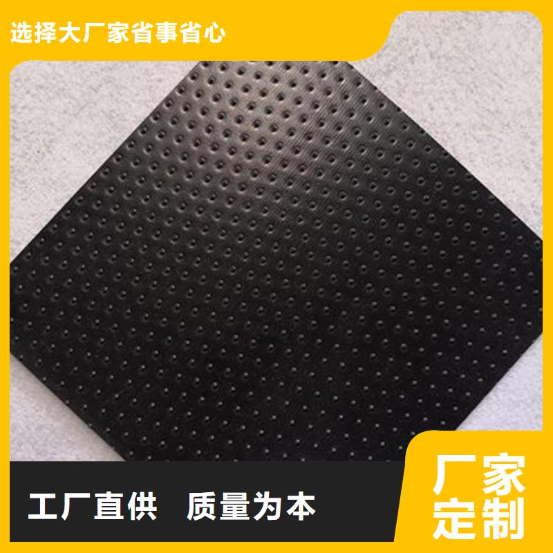 土工膜-矿用格栅支持定制加工货品齐全