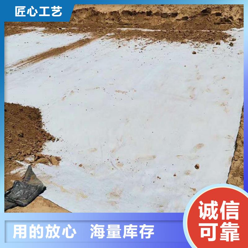 膨润土防水毯-【双向塑料土工格栅】把实惠留给您常年出售