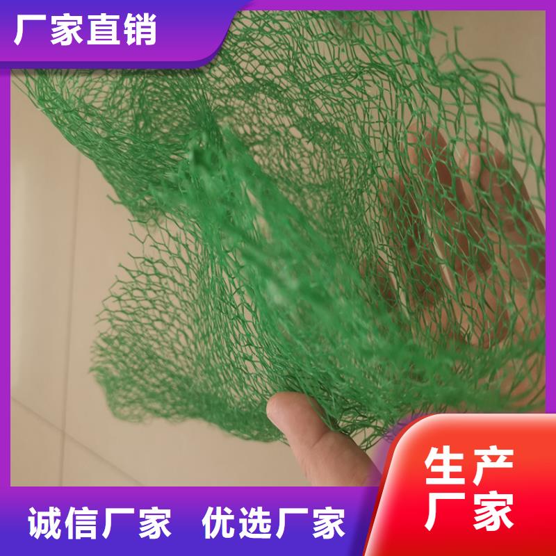 三维植被网土工膜闪电发货本地制造商