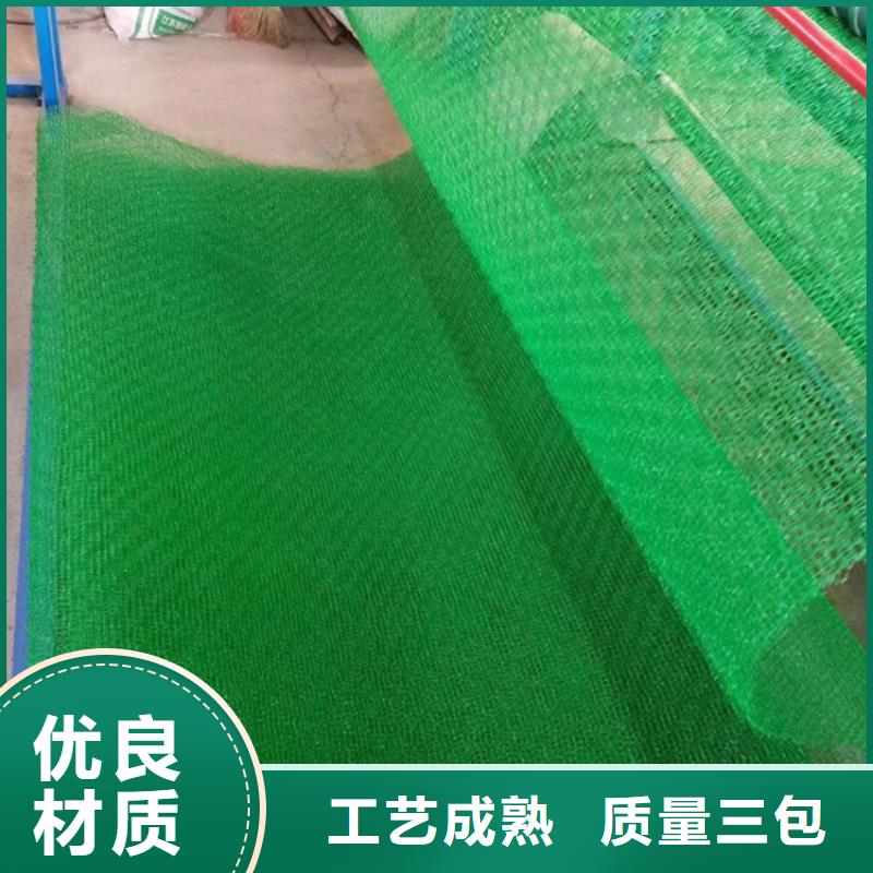 三维植被网-【单向塑料土工格栅】质量安全可靠厂家售后完善