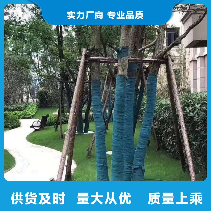 裹树布_聚酯长丝土工布厂家现货批发当地供应商