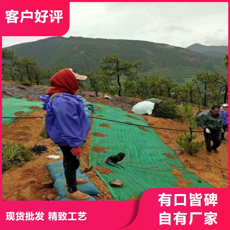 【椰丝毯防渗膜专注产品质量与服务】附近制造商