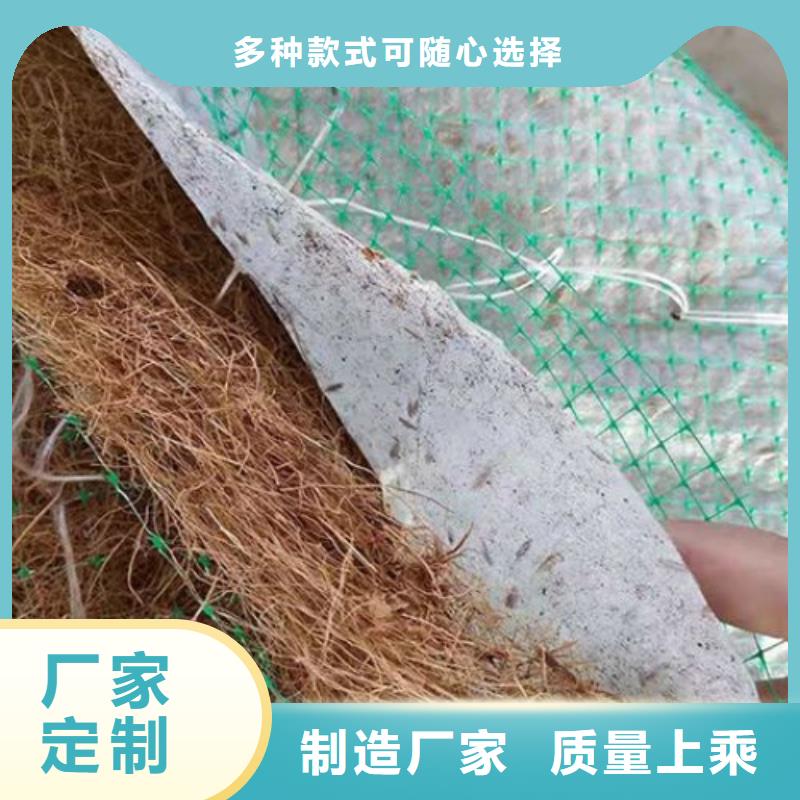 椰丝毯【双向塑料土工格栅】价格实惠当地供应商