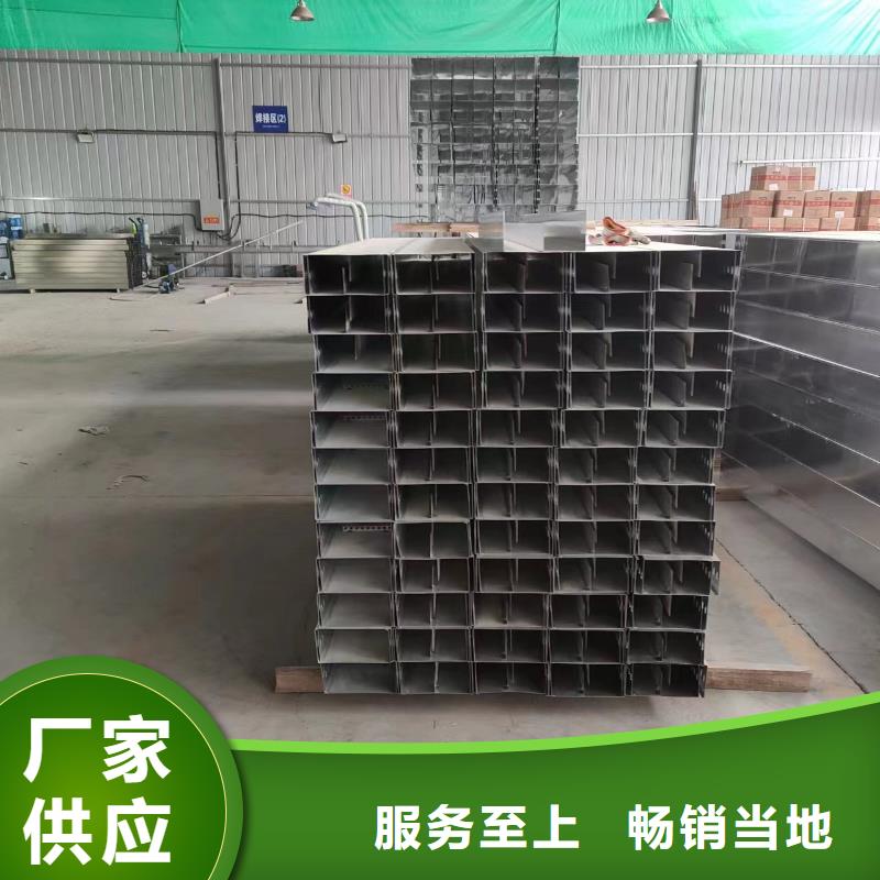 电缆桥架从源头保证品质颜色尺寸款式定制
