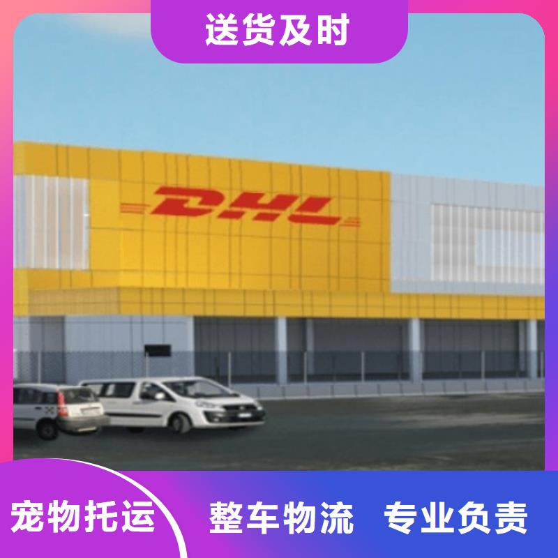 临沂【DHL快递】-外贸代发货天天发车  