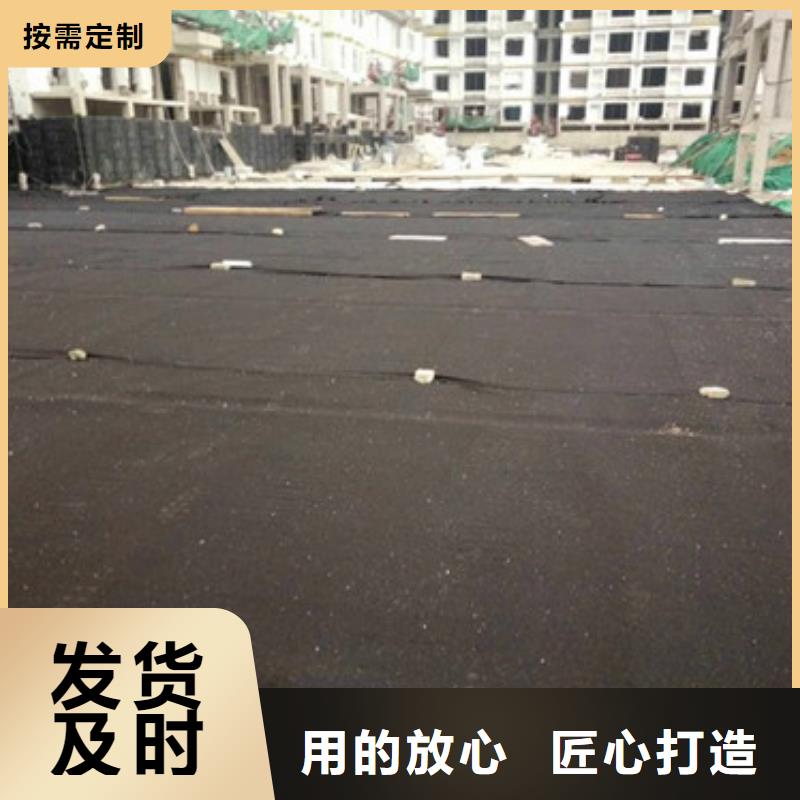 排水板塑料排水板多年行业经验本地供应商