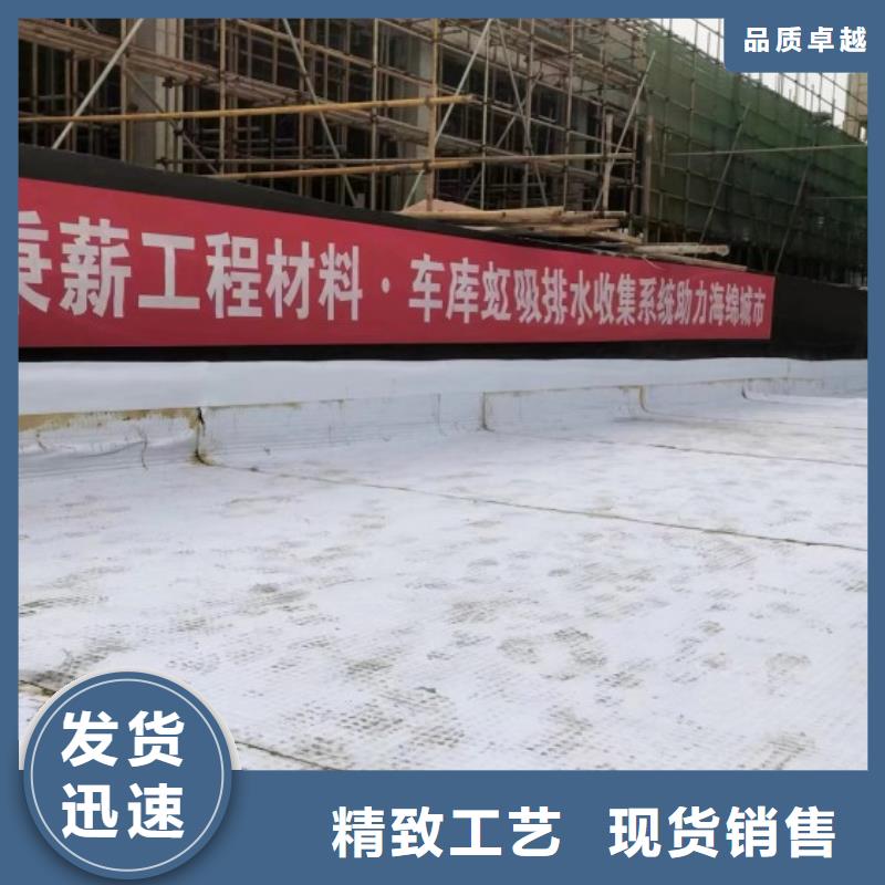 排水板塑料排水板精致工艺根据要求定制