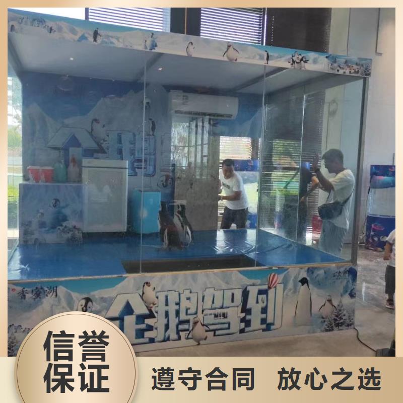 海洋主题动物表演_动物展览秀实力强有保证遵守合同