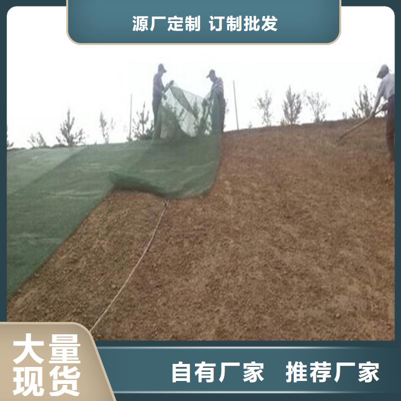 【土工布】矿用格栅设计合理质量好