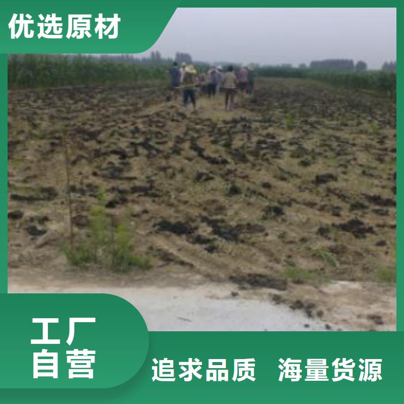 【鸡粪,干鸡粪销售的是诚信】本地生产厂家