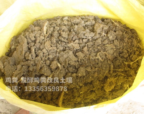 干鸡粪温室大棚用