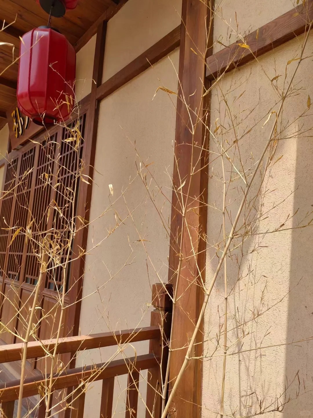 农家小院，乡村建设，民宿改造，稻秸秆漆源头厂家
