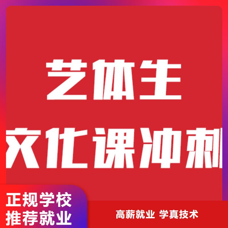 收费艺考文化课师资力量强