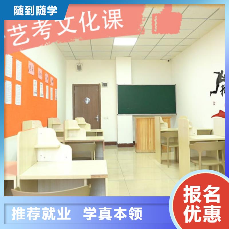 艺术生文化课集训班哪家升学率高手把手教学