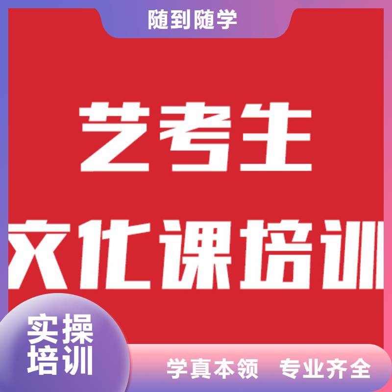 艺术生文化课补习机构有几所这家好不好？理论+实操