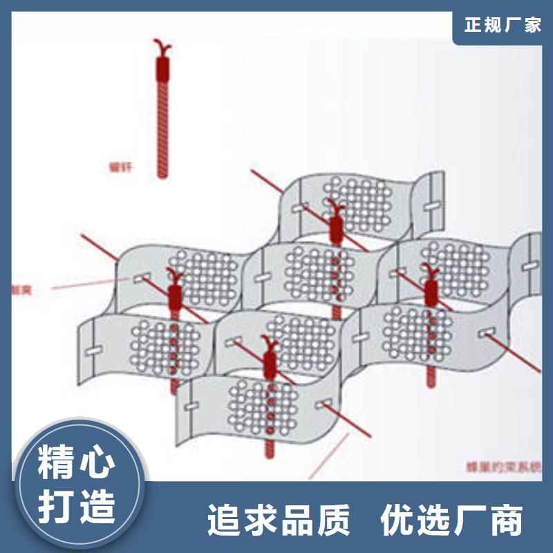 蜂巢格室【植草格】厂家定制为品质而生产