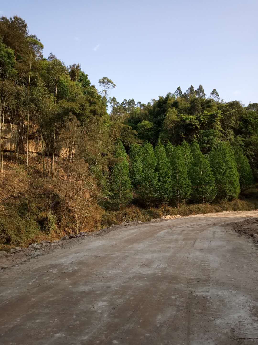 淤泥原位土壤固化土壤固化剂10年经验